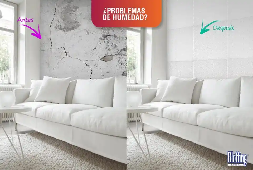 Blotting sigue siendo la solución definitiva a los problemas de humedad en los hogares tucumanos