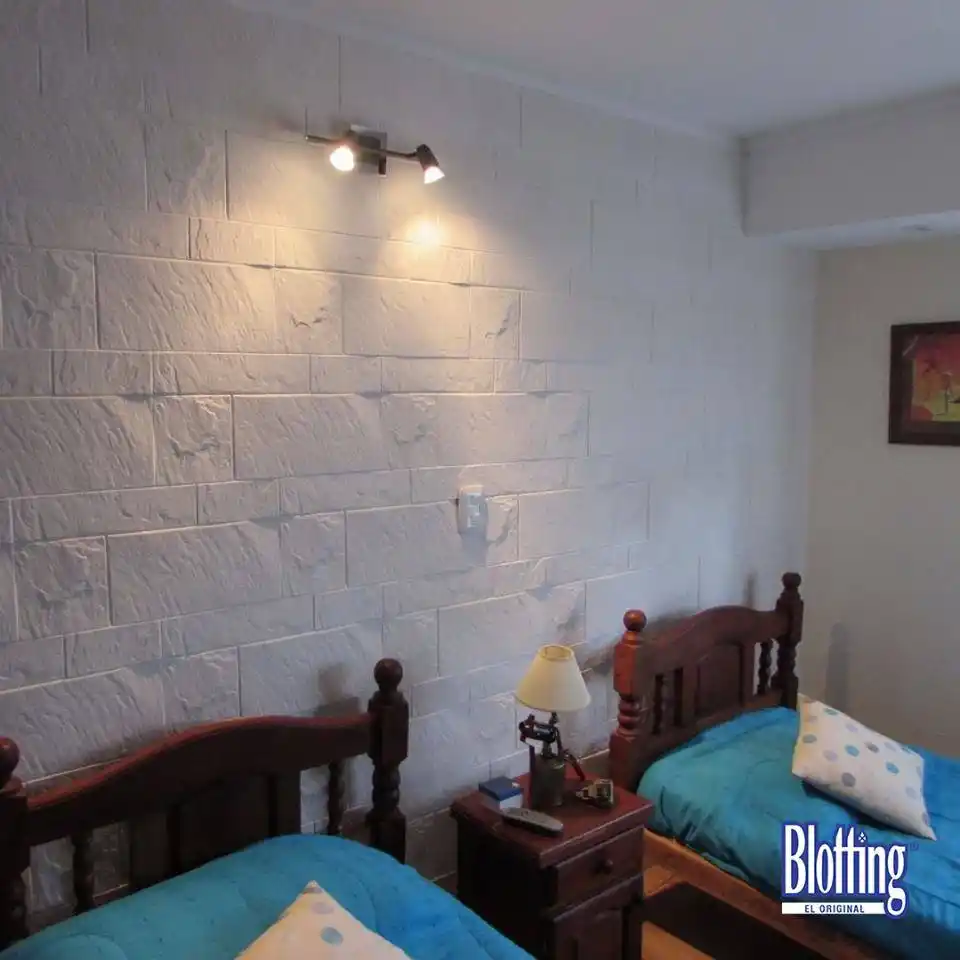 Blotting sigue siendo la solución definitiva a los problemas de humedad en los hogares tucumanos