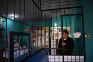 Un hincha colombiano participaba en un ataque “piraña” en Villa Urquiza