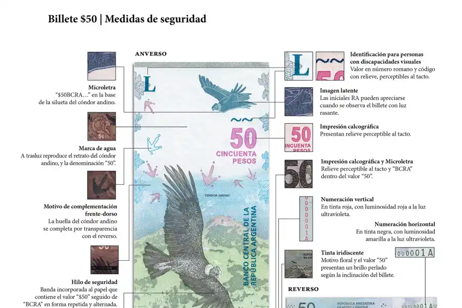 Comenzó a circular el nuevo billete de $ 50: las medidas de seguridad para tener en cuenta
