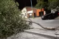 Perdió el control de su auto, chocó contra un árbol y volcó en Belgrano al 2.300