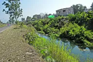 ¿Quién se hace cargo del Camino de Sirga?