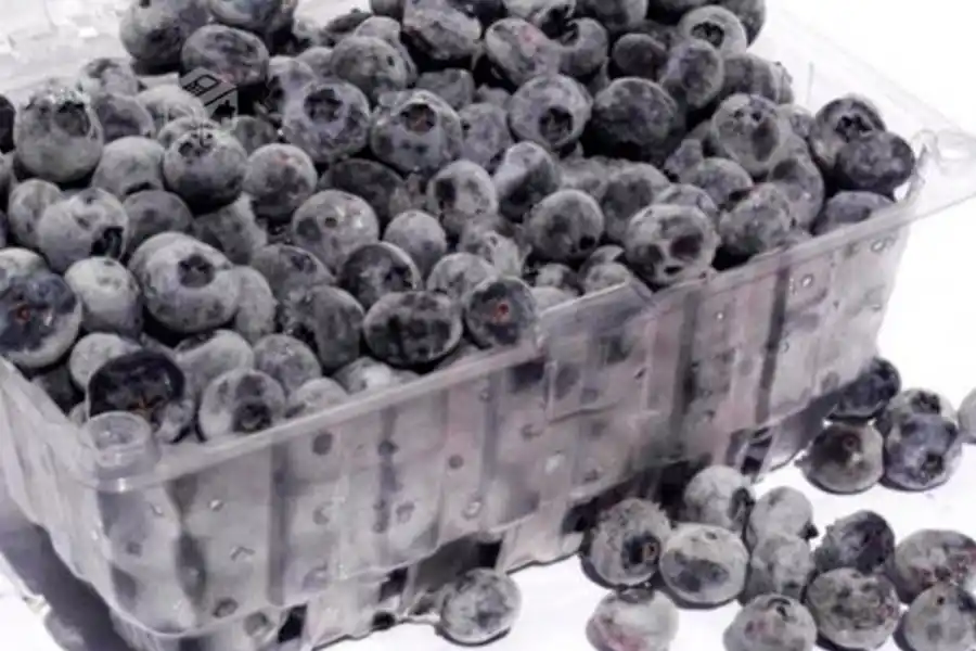 Seis consejos para evitar que la fruta se descomponga rápidamente