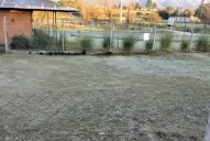 Fotos: distintos sectores de Tucumán amanecieron con el suelo escarchado