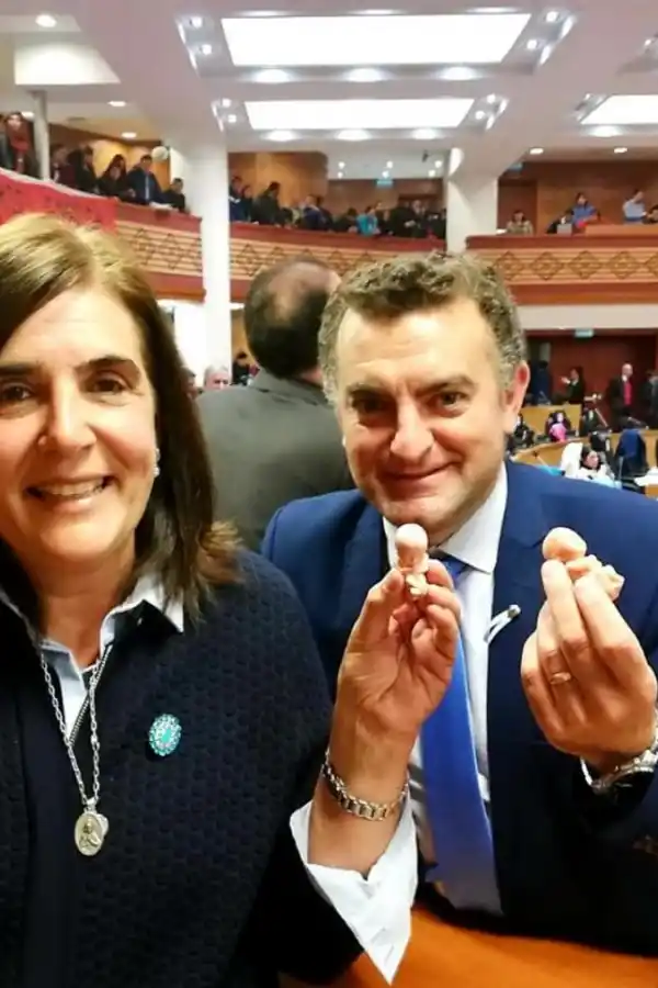AUTORES. El legislador Raúl Albarracín y Florencia Nucci en el Congreso. 