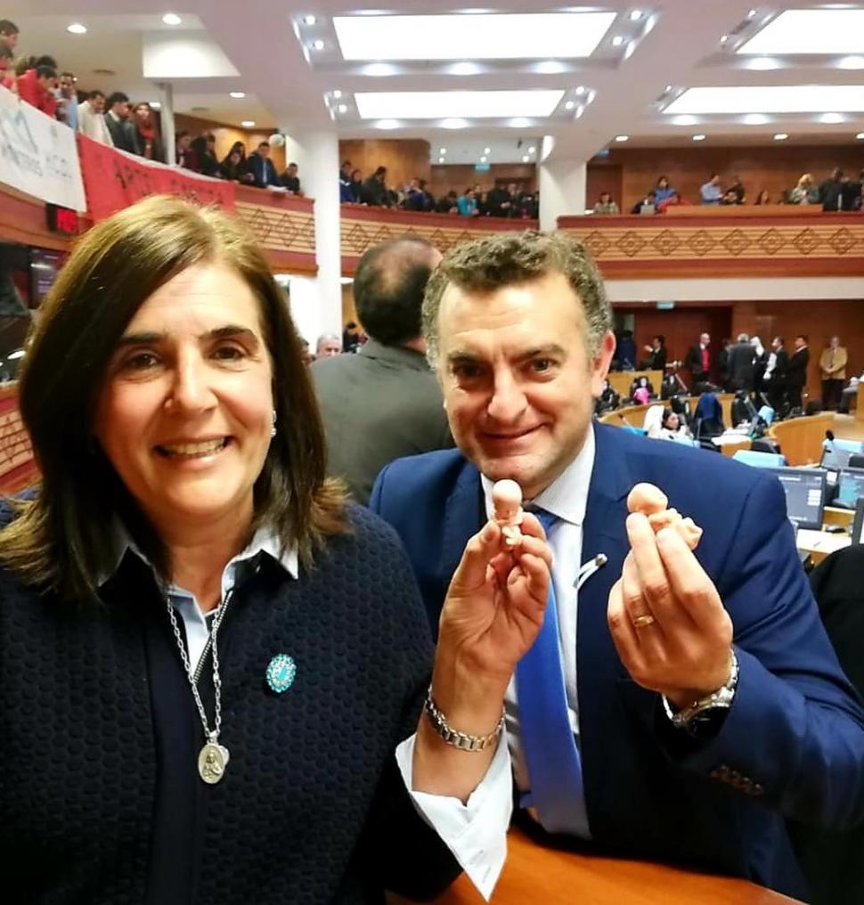 AUTORES. El legislador Raúl Albarracín y Florencia Nucci en el Congreso. 