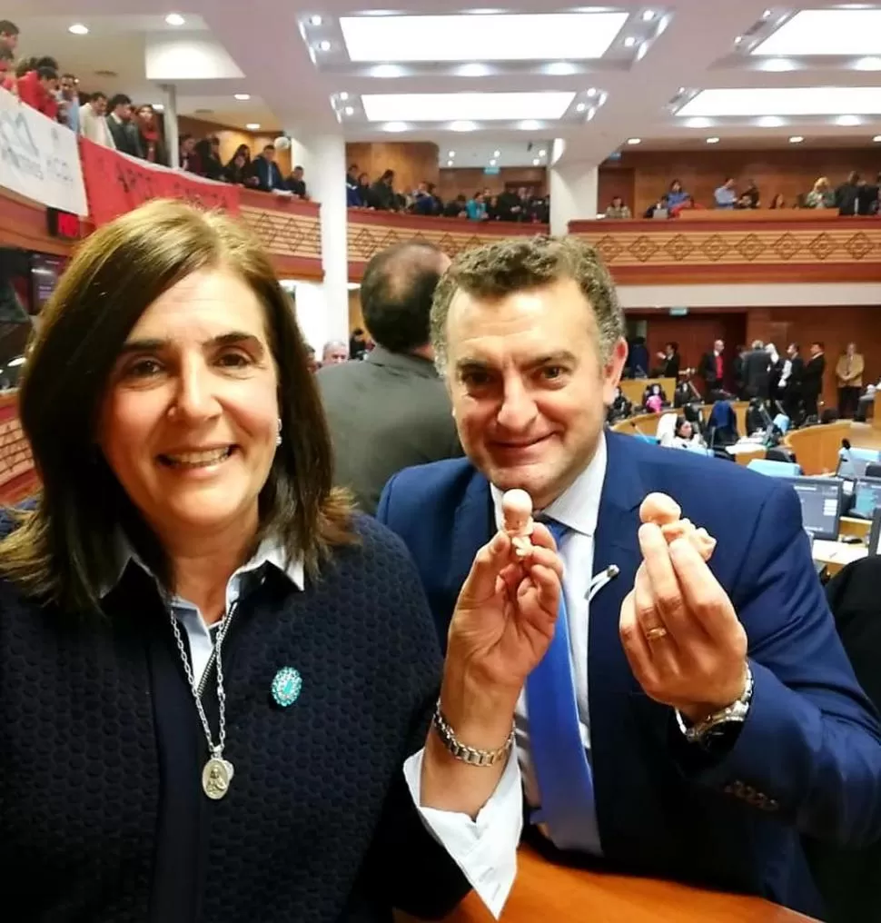AUTORES. El legislador Raúl Albarracín y Florencia Nucci en el Congreso. 