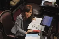 En vivo: el Senado aprobó los allanamientos a las propiedades de Cristina Kirchner