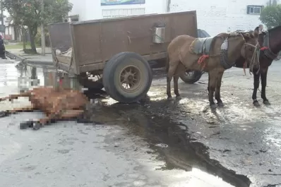 Polémica en Aguilares por la muerte de un caballo: pisó una tapa de cloacas rota
