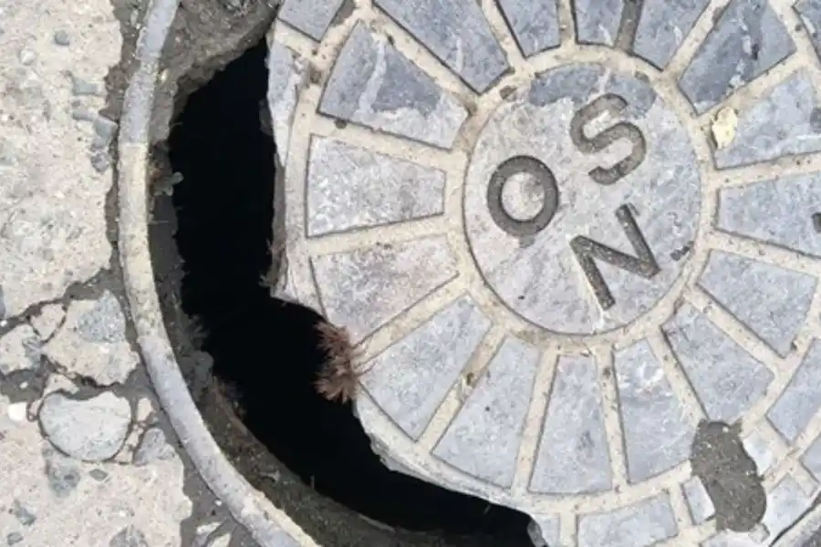 Polémica en Aguilares por la muerte de un caballo: pisó una tapa de cloacas rota