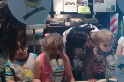 En el Museo Miguel Lillo los niños podrán ser científicos por un día