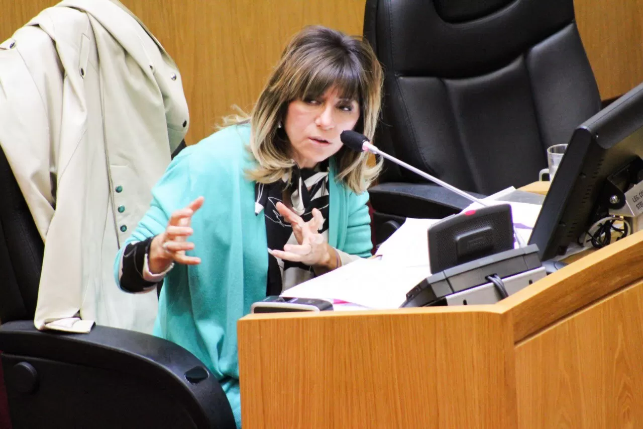 DEBATE. Stella Maris Córdoba es una de las impulsoras para que Tucumán adhiera a la ley de salud sexual.