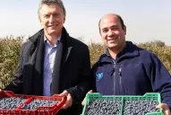 Video: así fue la visita de Macri a un campo de arándanos en Tucumán