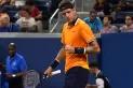 Del Potro pasó por encima a Young y avanzó a la segunda ronda del US Open