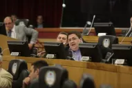 Legisladores piden internas abiertas para el radicalismo