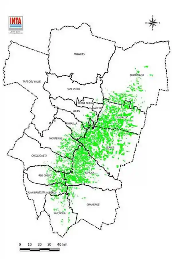 La cosecha de caña de azúcar en Tucumán ya muestra un avance del 70% en esta campaña