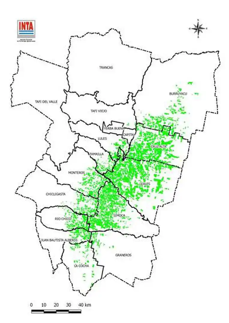 La cosecha de caña de azúcar en Tucumán ya muestra un avance del 70% en esta campaña