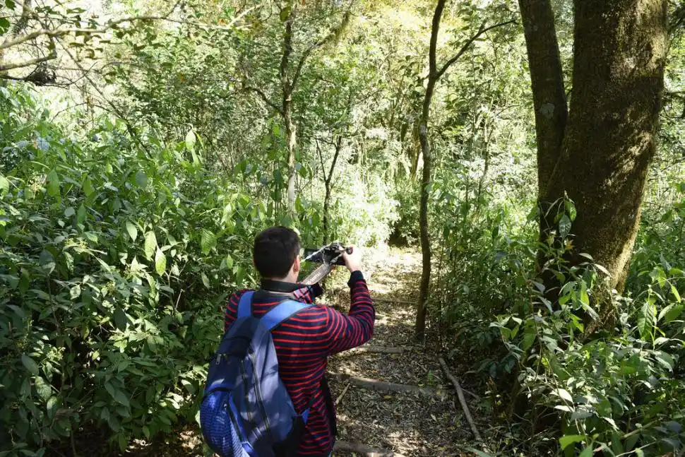 NATURALEZA PLENA. Los senderos están rodeados por árboles.