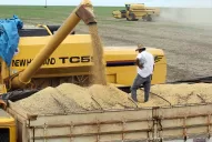 Retenciones a todas las exportaciones: el Gobierno recaudará $ 280.000 millones