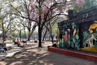 Cuánto deberá pagar de multa el hombre que arrojó desechos en la plaza Alberdi