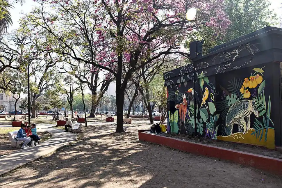 El hombre que arrojó basura en la plaza Alberdi dio su versión de lo ocurrido