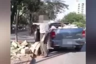 Lo filmaron tirando basura y recibirá una multa por $ 7.000