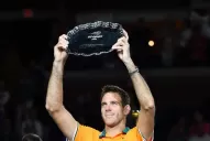 Del Potro se entristeció por la final perdida pero sigue disfrutando del tenis 