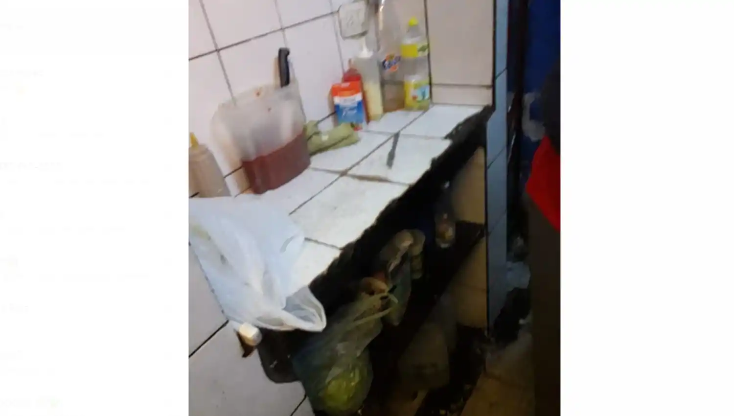 Clausuraron dos bares por suciedad, cucarachas y alimentos en mal estado