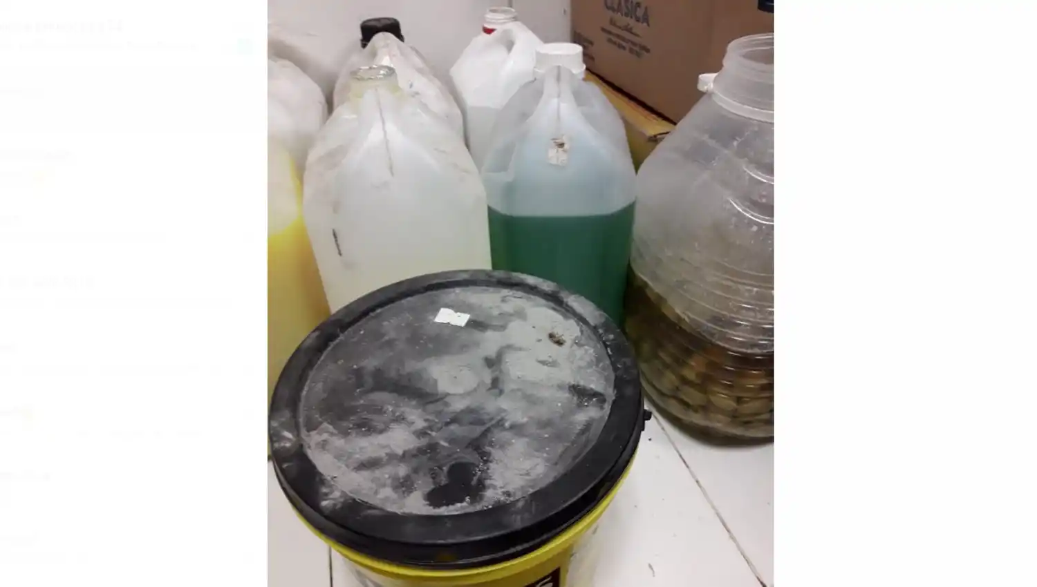 Clausuraron dos bares por suciedad, cucarachas y alimentos en mal estado