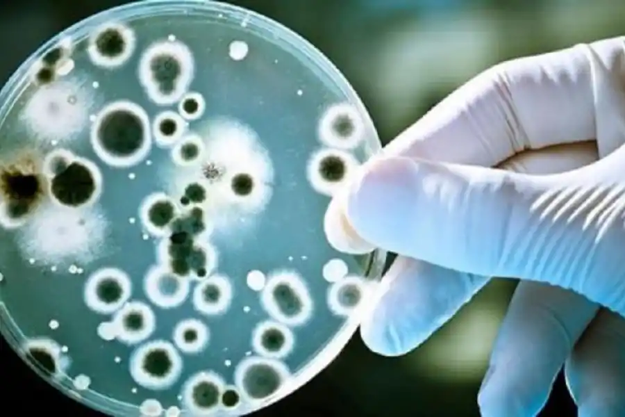 Bacteria letal: murió un adulto y ya son cinco los fallecidos en todo el país