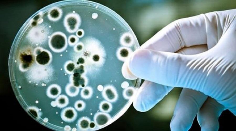 Bacteria letal: murió un adulto y ya son cinco los fallecidos en todo el país