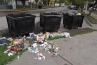 Basura: hay más sanciones, pero no alcanza para tener una ciudad limpia