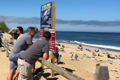 Un tiburón mató a un surfista en una concurrida playa de Estados Unidos