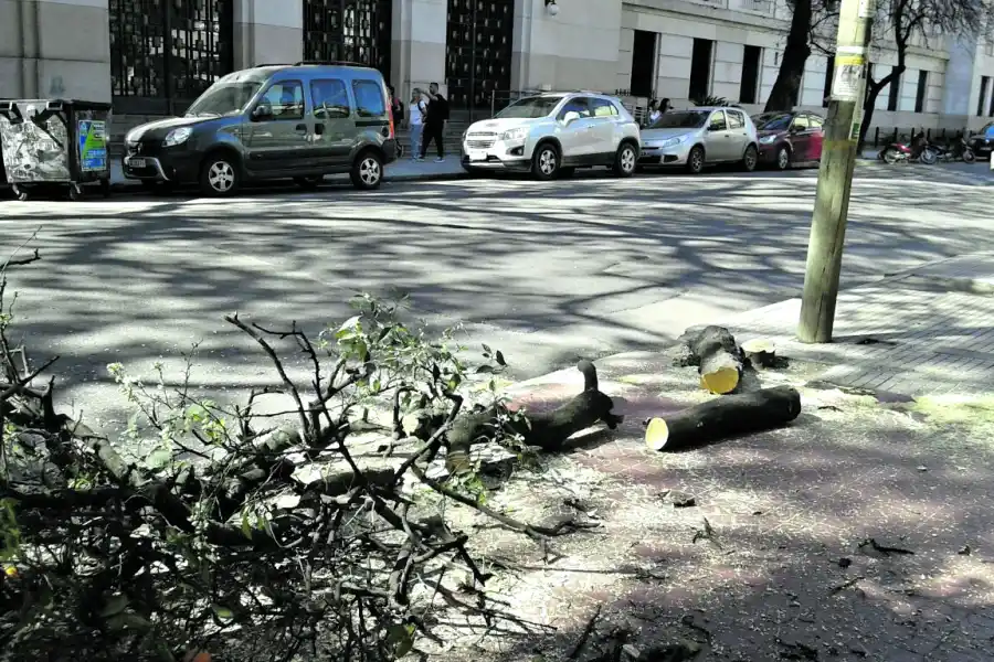 Un árbol cayó sobre dos motos y una camioneta en Las Termas