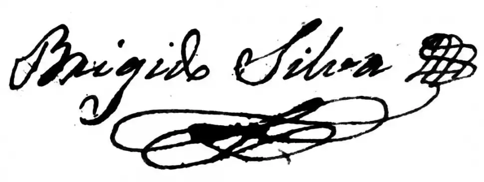 LA FIRMA. No se conoce retrato de Brígido Silva