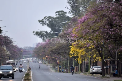 Comienza la última semana de invierno: cómo estará el tiempo