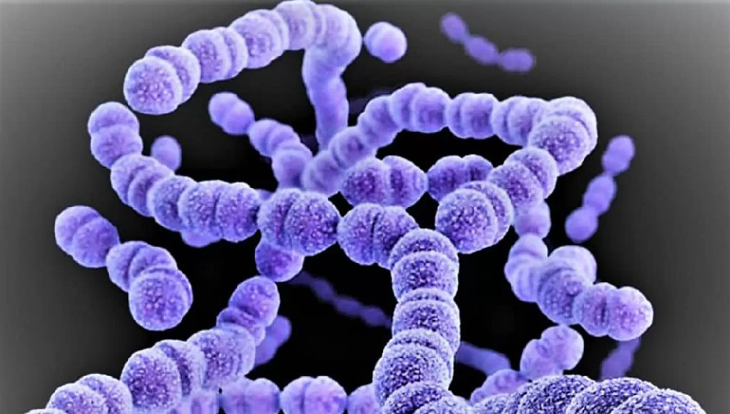 Suman tres muertos por la bacteria estreptococo y ya son 10 las víctimas fatales