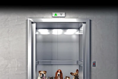 Animales en edificios: más gente quiere tenerlos como compañía y aumentan los conflictos