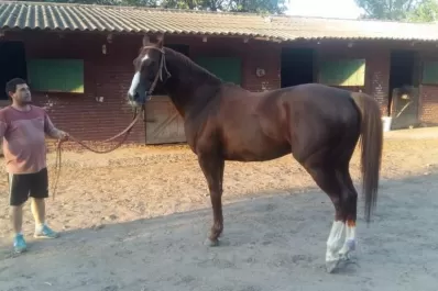 Calidad al por mayor en el Batalla de Tucumán