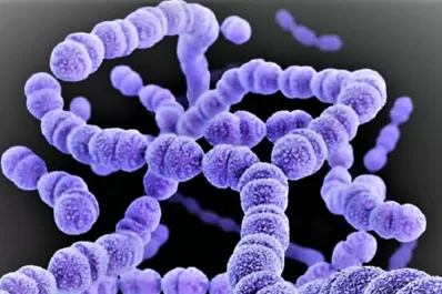Suman tres muertos por la bacteria estreptococo y ya son 10 las víctimas fatales