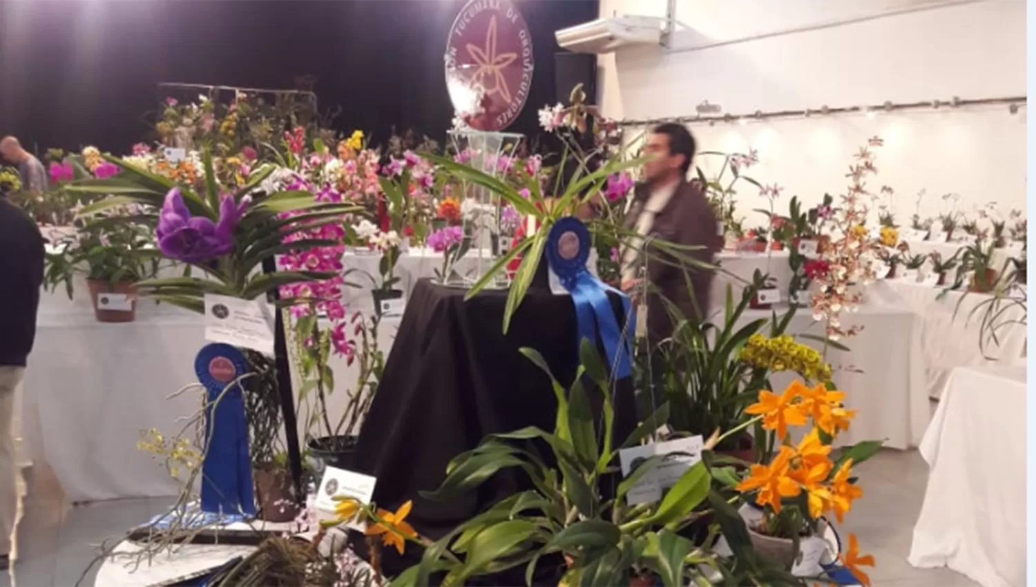 La Expo Orquídeas se llevará a cabo en Yerba Buena del viernes al domingo