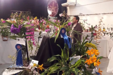 La Expo Orquídeas se llevará a cabo en Yerba Buena del viernes al domingo
