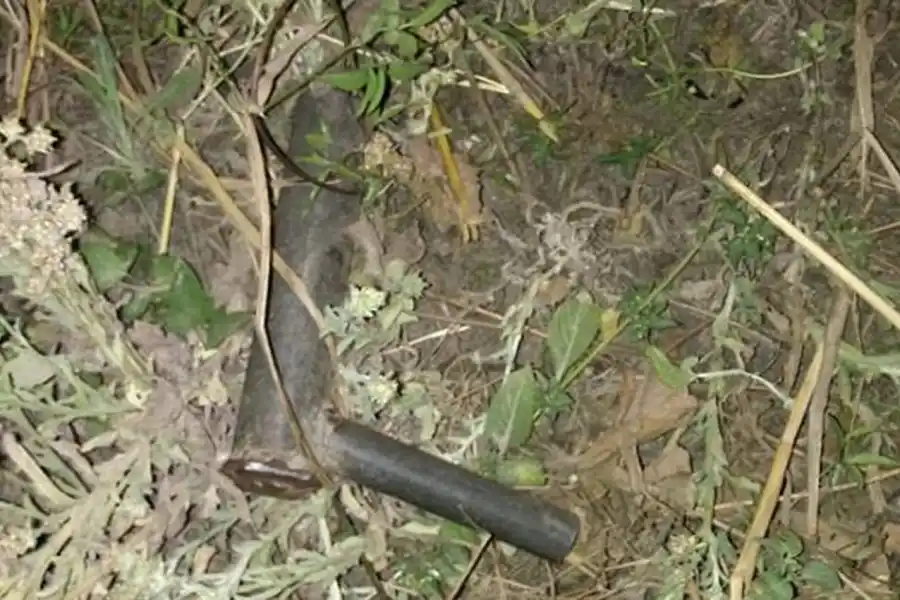 Le hicieron dedo, los levantó, lo asaltaron y chocaron