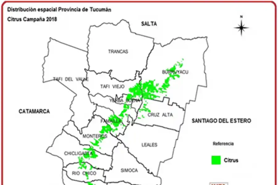 El área con cítricos en Tucumán se expande por la rentabilidad, según el INTA Famaillá