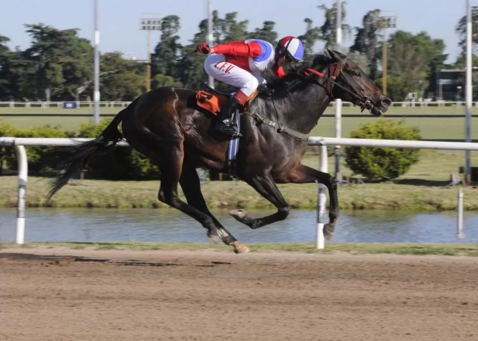 EXPERIMENTADO JINETE. Luis Vai montará al alazán Travolta Boy en los 2.200 metros del Gran Premio “Batalla de Tucumán”. argentina turf