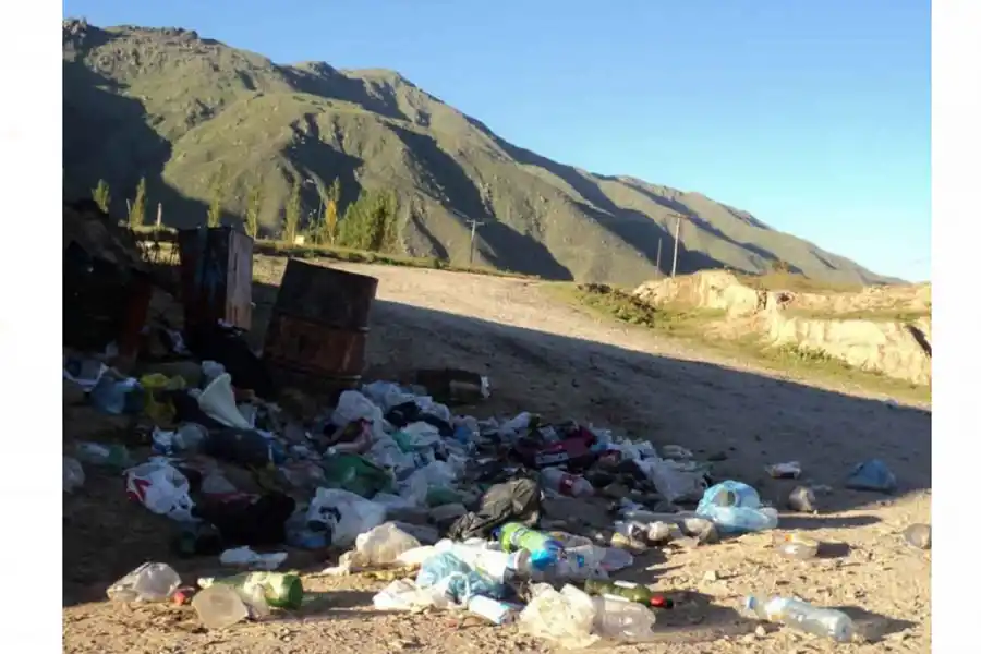 El Mollar soporta una invasión de moscas por la basura acumulada