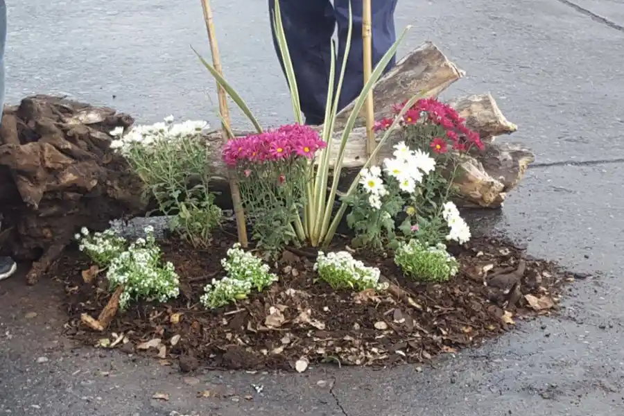 Con flores y dibujos en 3D buscan visibilizar el problema de los baches en Tucumán