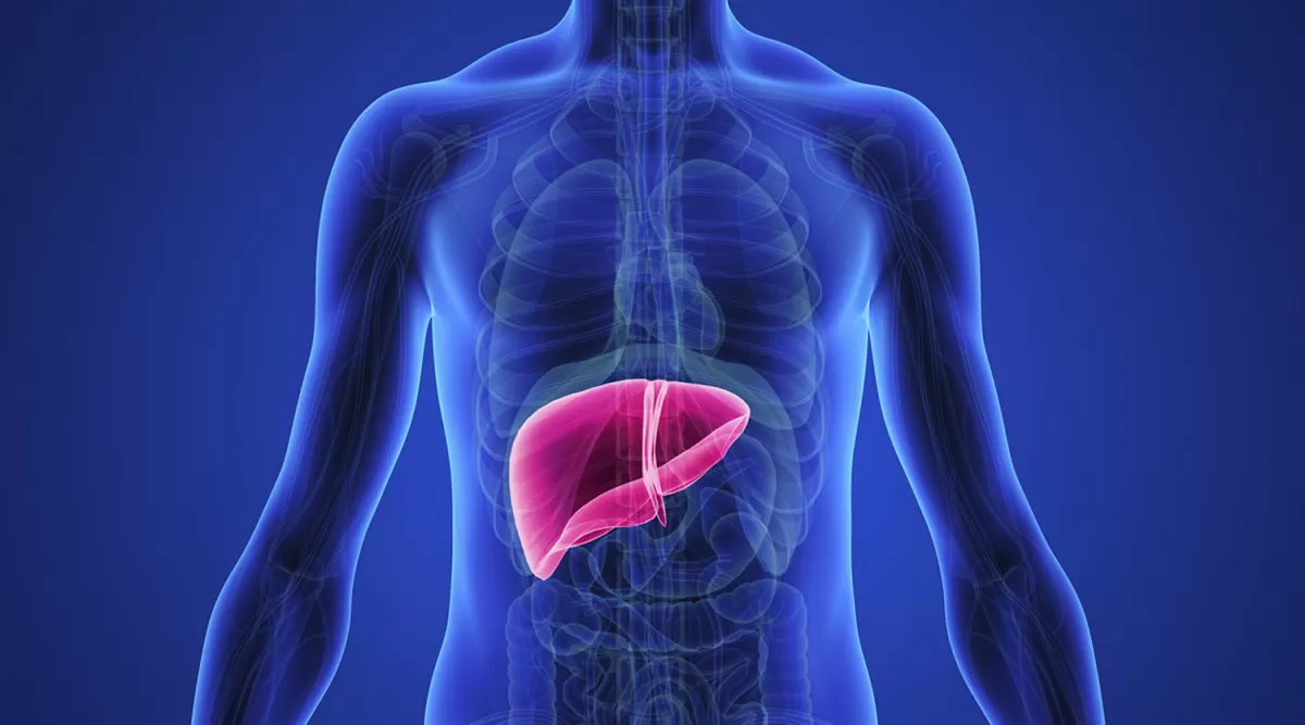 Tener hígado graso sextuplica el riesgo cardiovascular y aumenta el de transplante