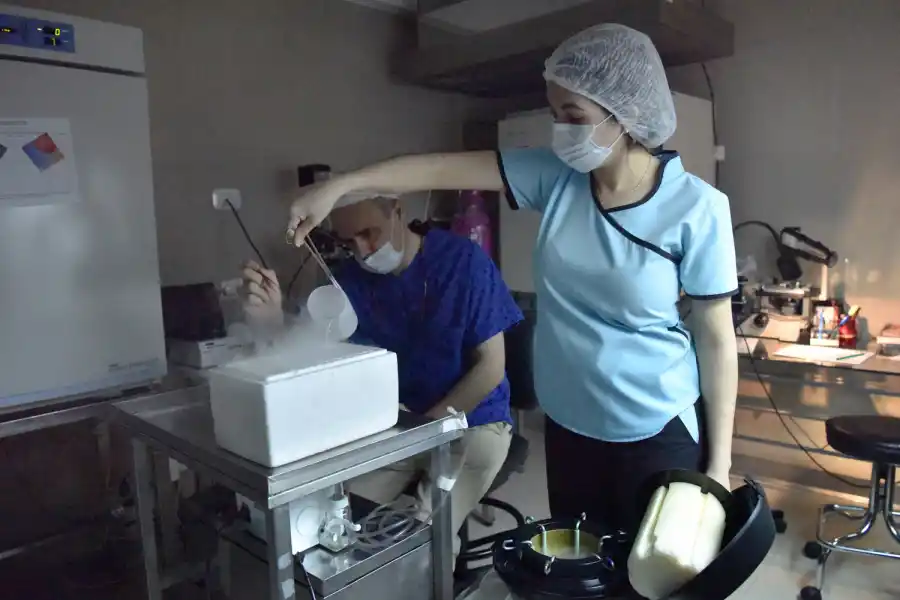 Congelar óvulos: otra forma de ser mamá