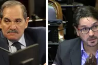 Alperovich y Garretón son los legisladores nacionales tucumanos más ricos